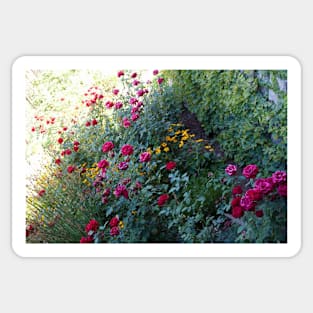 Rose Garden Sticker